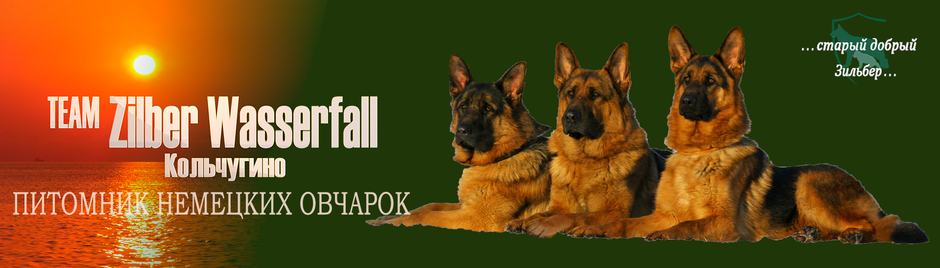 zastavka_background_glavnaya